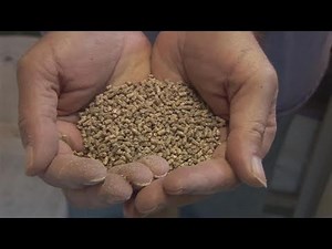 How To Mix Quail Feeds