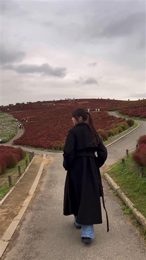 粕谷 亜理紗 / arisa kasuya on Instagram: "・ 人生初コキア行ってきた〜〜🍂 寒すぎてコートで大正解だった🎶 @dazzlin_official さんのコート何パターンもの 着方が出来るし、めちゃ可愛くてこの冬大活躍しそう⛄️ #dazzlin #ダズリン #pr #2wayカラーレディコート #dazzlin_2025outer #国営ひたちなか海浜公園 #コキア"