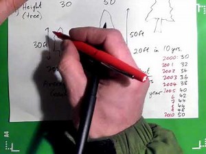 Introduction to Interpolation: Height of a Tree