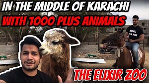 30K views · 1.2K reactions | The elixir private zoo is owned and maintained by my dear friend khuwaja Bilal mansoor an animal lover who is doing an amazing job to give back to the community and the people of karachi. www.facebook.com/elixirprivatezoo/ #Karachi #Pakistan #TheElixirZoo #AnimalLover #AzlanShah #KhuwajaBilalMansoor | Azlan Shah | Facebook