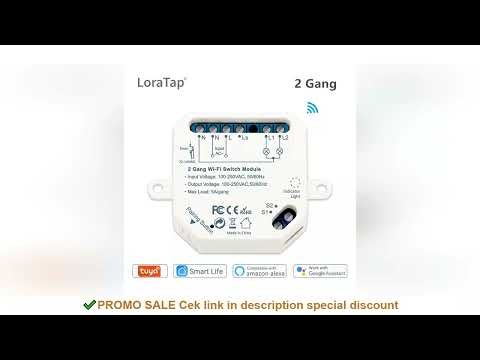 Tuya Smart Life Wifi Switch 2 Gang Relay Breaker Module Google Home Alexa Echo Voice Control Smart L