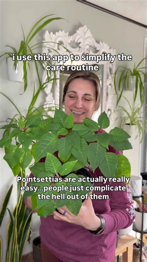 Anyone else use Plantsnap? #houseplantcare #planttips #plantcare #newplantmom #plantidentification