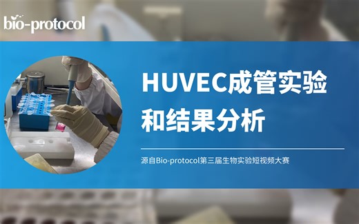 【短视频大赛】HUVEC成管实验和结果分析