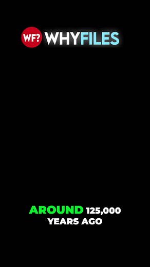 The Rise and Fall of Early Humans: The Neanderthal Conflict and Climate Change Discover the fascinating story of our ancient ancestors and the challenges they faced, from building societies to surviving climate change. Learn how the arrival of Neanderthals and a harsh Ice Age led to the decline and ultimate disappearance of early humans in the Levantine region. #AncientHumanHistory #NeanderthalConflict #ClimateChangeEffects #IceAgeSurvival #EarlyHumanSocieties #AncientCivilizations #LevantineReg