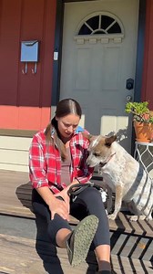 2.8K views · 486 reactions | Step into comfort with Mueller's Comfort Flex Knee Stabilizer; the ultimate support system for your knees! 例#KneeSupport #StayActive #MuellerReady Buy one today at Walmart! https://bit.ly/4eTqgX9 | Mueller Sports Medicine | Facebook