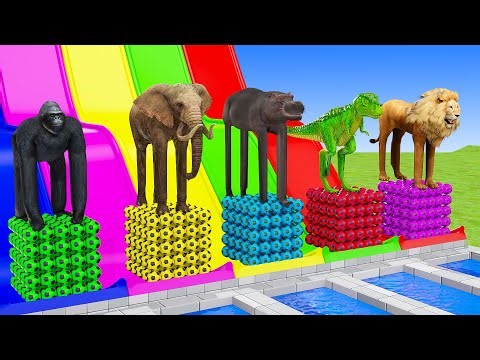 Long Slide Game with Cow Elephant Gorilla Hippopotamus Tiger 3d Animal Game Funny 3d Animals