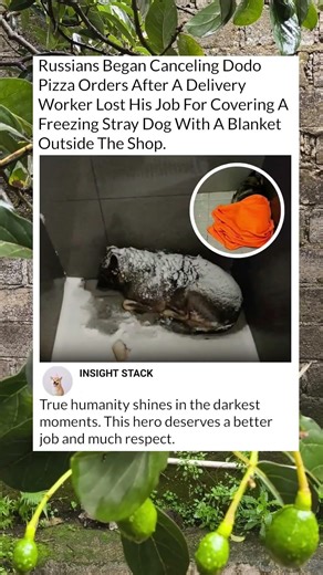 He Lost His Job for Saving a Life: The Heartbreaking Story of a Hero 💔