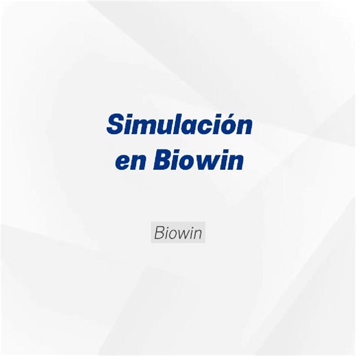 ⚙️ BioWin en acción  Modelos listos para remoción de nutrientes  Esquemas BNR y uso de metanol  Simula sin empezar desde cero  Aprende a usar y adaptar estos modelos en BioWin. #BioWin #PTAR #RemociónDeNutrientes #TratamientoDeAguas #Sentra | Sentra | Facebook