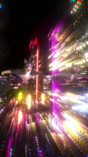 Ultra HDR FLYING CATS!! #animation #brainrot #viral