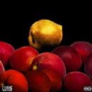 2 Chainz - I'm Different Song Lyrics, Music Video