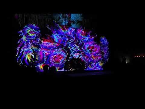 Protoplasma (E - Tong) at Necropolis crew party Israel 21.11.2k25 VL - Collective 25 visual