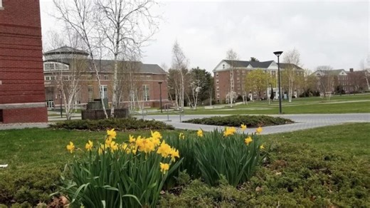 Bates College eliminates application fee