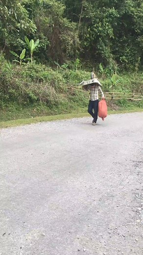 đúng là Bờm | Hót Đi Chim