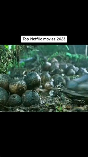 You won't believe what happens next.Pure Hollywood topnotch movie.A scene you can never forget. 🎬 ALIEN COVENANT.