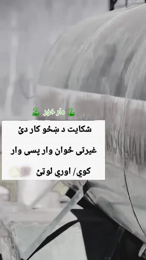 #پشتون_تاجیک_هزاره_ازبک_زنده_باد🇦🇫 #باغی #viralvideo