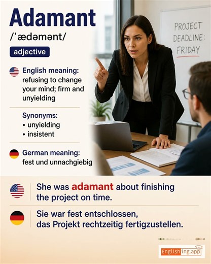 Adamant: English vocabulary meaning and example