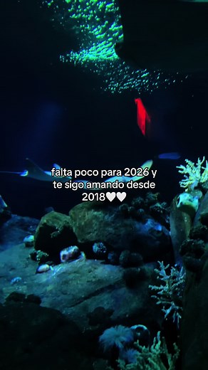 Cómo estás? #mujereslatinas #aquarium #frasesdeamor #compartir #fyppppppppppppppppppppppp