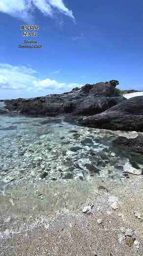 屋久島の自然を満喫！1分間の現実逃避動画【美しい国、日本】