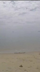 Niat mancing nak santai2 je sambil bawa anak mandi pantai,tak sangka pulak terstrike ikan idaman guna umpan udang pasar je⁉️ #ebek #throwback #kenangan2025 | Generasi Y Channel