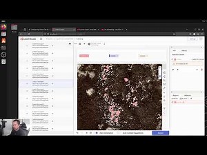 Label Studio + SAM2 semantic segmentation labeling