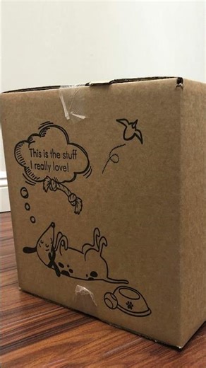 Which Moving Boxes to Use | Packing Tips for Moving