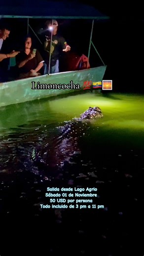 ✨ Tour Full Day Limoncocha ✨ 📍 Salida desde Lago Agrio Vive un día lleno de magia en la Reserva Biológica Limoncocha 😍: 🛶 Paseo en bote por la laguna 🐒 Avistamiento de fauna (aves, monos, caimanes) 🌅 Atardecer increíble en medio de la Amazonía ✨ Show de luciérnagas… ¡La parte más mágica! 📸 Fotografía y conexión con la naturaleza 🎒 Guianza interpretativa Incluye: 🚐 Transporte 🍽 Almuerzo 🤝 Entradas y actividades 🦺 Equipo de seguridad 👉 Reserva tu aventura ahora 📲 WhatsApp: 0988448252 