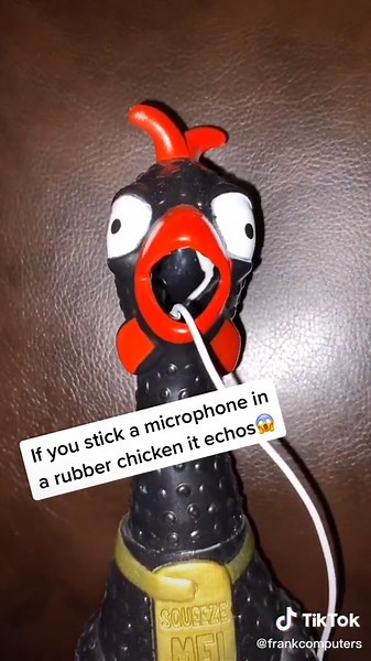 frankcomputers on TikTok