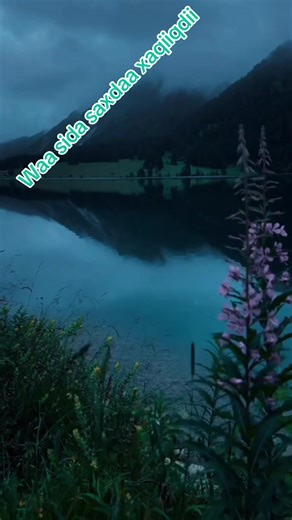 Queen anfac (@anfac053)s videor med original sound - ᗷIᒪᗩᑎᗴY👸🏽🤎