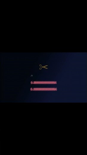 Why 0.1 + 0.2 ≠ 0.3 (The Floating-Point Bug in Every Computer)