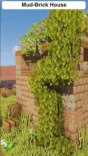 Minecraft: Mud Brick House #shorts