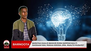 Barataa akka Biyyaalessaatti qabxtii olaanaa fide maaltu mudate? | OBN Afaan Oromoo Plus