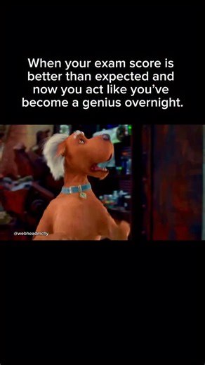 I guess I always knew! 🤓😂🤣😂 Media Source: “Scooby-Doo 2: Monsters Unleashed” (2004) • • • • #scoobydoo #scoob #scoobydoowhereareyou #funnyanimals #funnyanimation #liveaction #warnerbros #shaggy #scoobyandshaggy #mysterymachine #relationshiphumor #friendshiphumor #relatable #schoolhumor #imagenius #geniusmemes #scoobysnacks #relatable #acedit #ialwaysknew #overconfidence #sarahmichellegellar #freddieprinzejr #matthewlillard #lindacardellini #4u | Mike Walsh