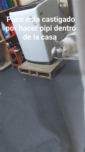 Maria Stella Garcia on Reels