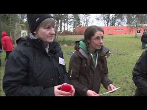 Messy Maths Outdoors