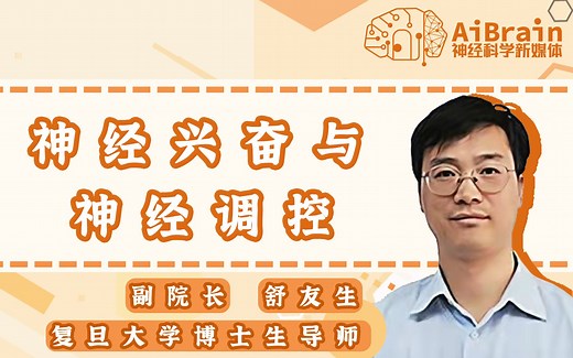 动作电位和突触传递是怎么回事？有什么新进展？脑科学家如何研究动作电位？复旦大学-舒友生