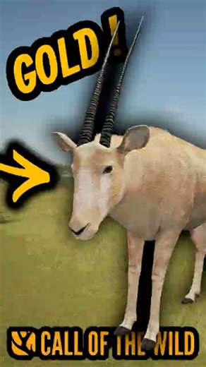 I Found a GOLD Gemsbok! - Call of the Wild