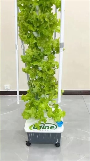 Hydroponic Tower Kit | Easy Vertical Growing for Home & Garden #hydroponics