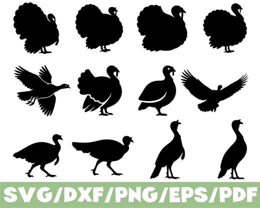 Turkey SVG Silhouette Bundle Thanksgiving Bird Farm Animal Icon Set - Etsy