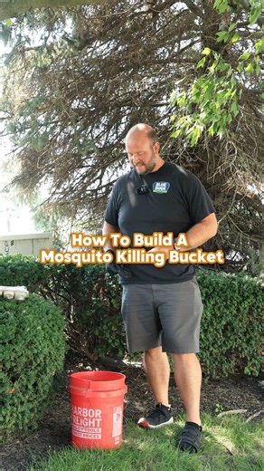 How To Build A Mosquito Bucket #shorts