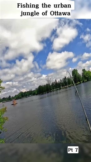 Part 7 #lure #jungle #fishing #hunting #ottawa