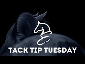 Tack Tip Tuesday - What is a curb strap doing on a Snaffle bit?