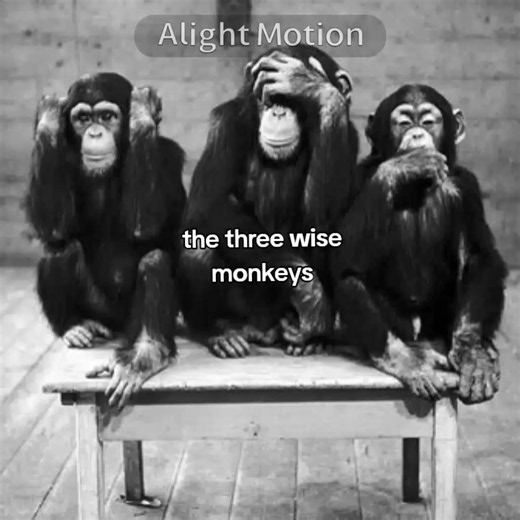 Three Wise Monkeys meaning explained