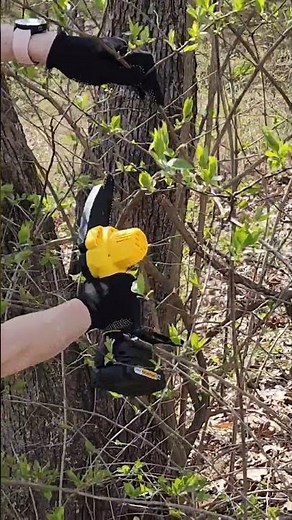 Mini Chainsaw makes clearing brush & pruning trees fast & easy
