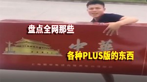 那些全网各种plus版的东西，超乎想象的奇葩物品，真是大开眼界