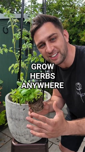 Grow These Herbs at Home 🌿 (Even in Small Spaces!)