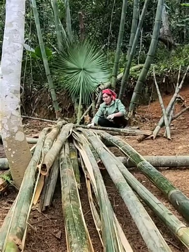 Building a Bamboo Fence for Home Protection
