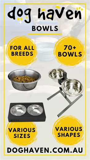 When dog’s bowl is empty for 0.3 seconds he looks like it’s a national emergency | doghaven.com.au