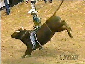 1.6K views · 126 reactions | Troy Dunn on Terry Williams' #10 Bad Bubba during round 3 at the 1995 PBR World Finals for 84.5 points. | All Things Roughstock | Facebook