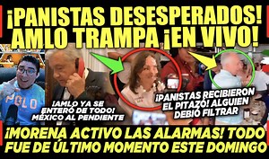 PANISTAS DESESPERADOS! AMLO TRAMPA! MORENA ACTIVÓ LAS ALARMAS! TODO FUE ULTIMO MOMENTO! #campechaneando | Campechaneando Youtube