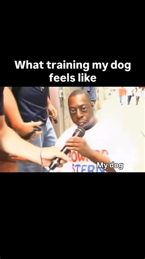 Michael Lobato | | promise my dog is really smart.. All jokes aside some dogs need more reps. Some dogs need different methods. This is why it’s important... | Instagram